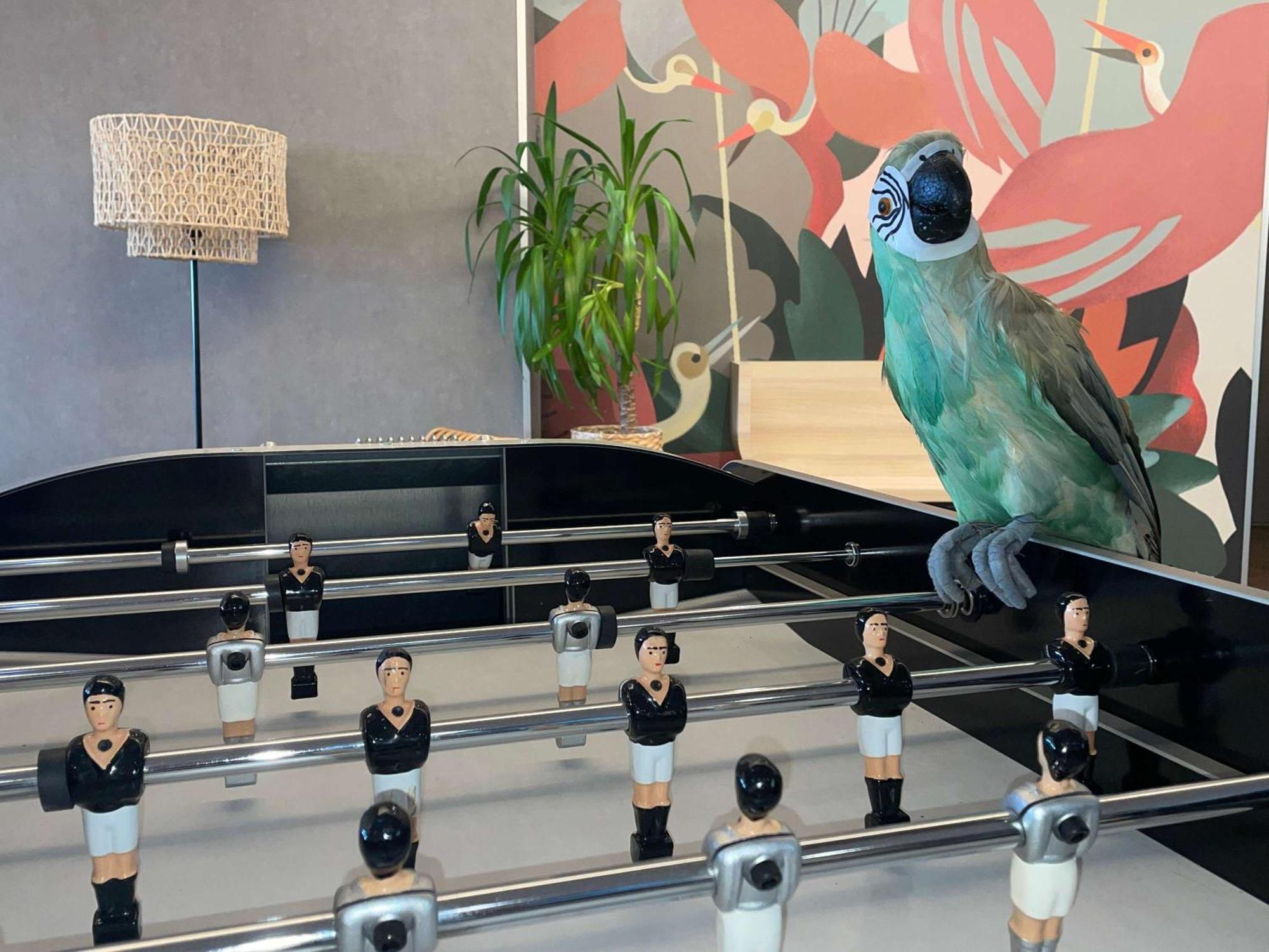 فندق Ibis Styles Rennes Cesson المظهر الخارجي الصورة